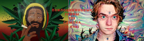 дмт Нефтекумск