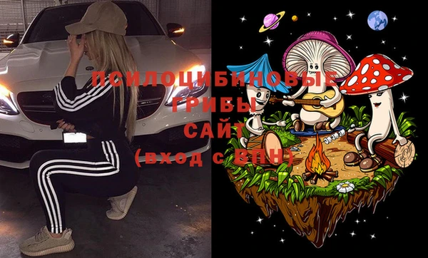 тгк Нея