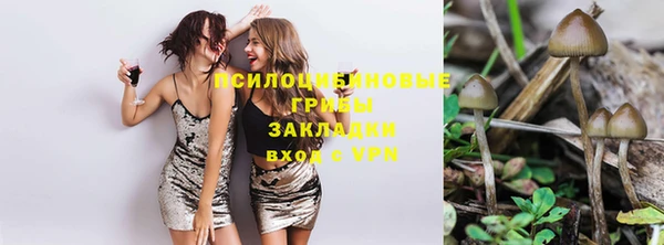 тгк Нея