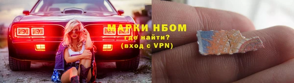 тгк Нея