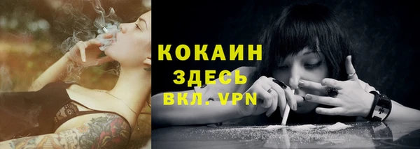 тгк Нея