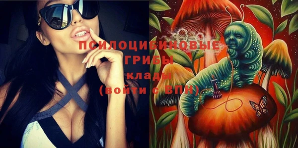 тгк Нея