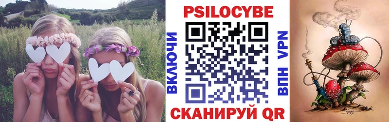 купить наркотики цена  Белореченск  Галлюциногенные грибы Psilocybine cubensis 