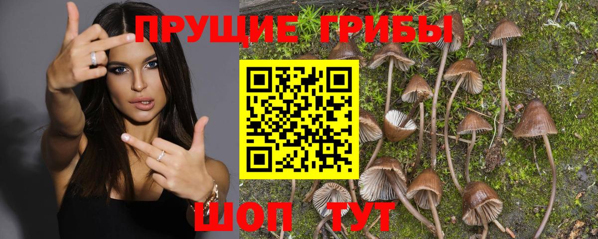 Галлюциногенные грибы ЛСД  Белореченск 