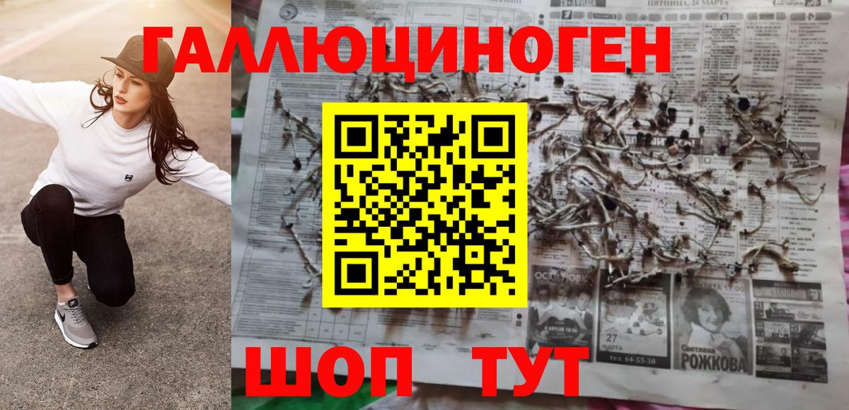 Псилоцибиновые грибы GOLDEN TEACHER  Галлюциногенные грибы прущие грибы  купить наркотик  Вход с VPN  Белореченск 